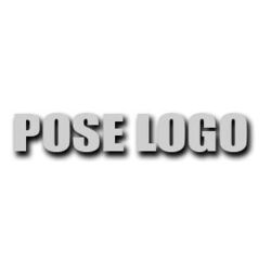 POSE DE LOGO
